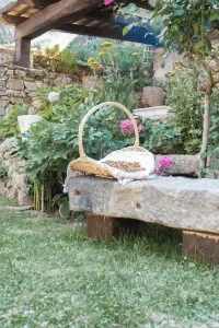Backyard Remodeling Services in Riverside, CA Backyard Remodeling Services in Riverside, CA