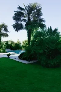 Backyard Remodeling Services in Riverside, CA Backyard Remodeling Services in Riverside, CA