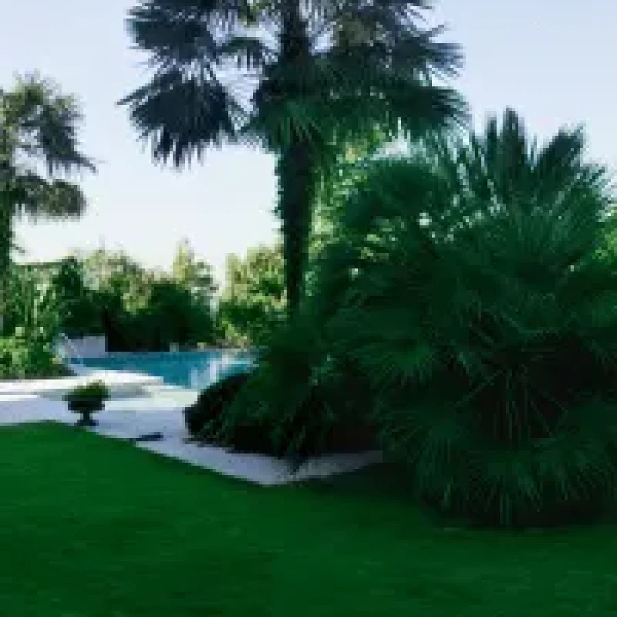 Backyard Remodeling Services in Riverside, CA